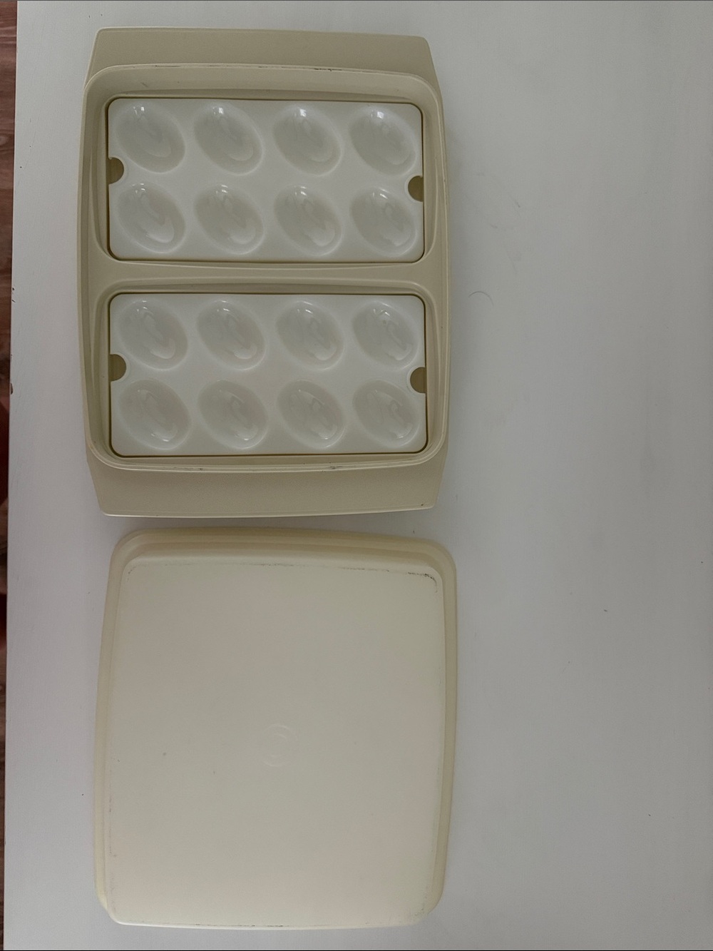 Deviled Egg Storage Container - Home Storage & Organization